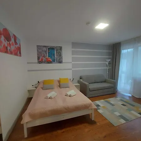 Fortuna 公寓 佐洛卡罗斯